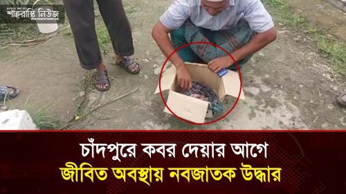 চাঁদপুরে কবর দেওয়ার আগে, জীবিত অবস্থায় নবজাতক উদ্ধার